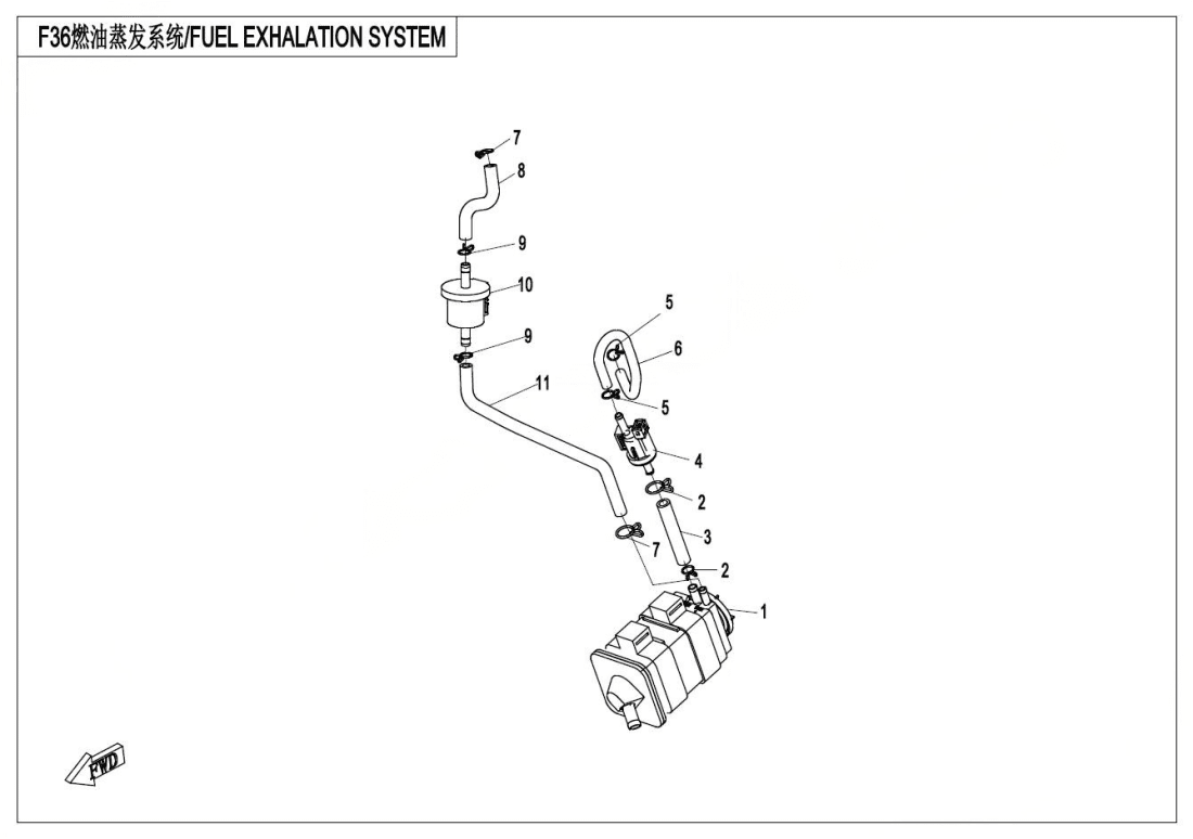 F36 FUEL EVAPORATION SYSTEM