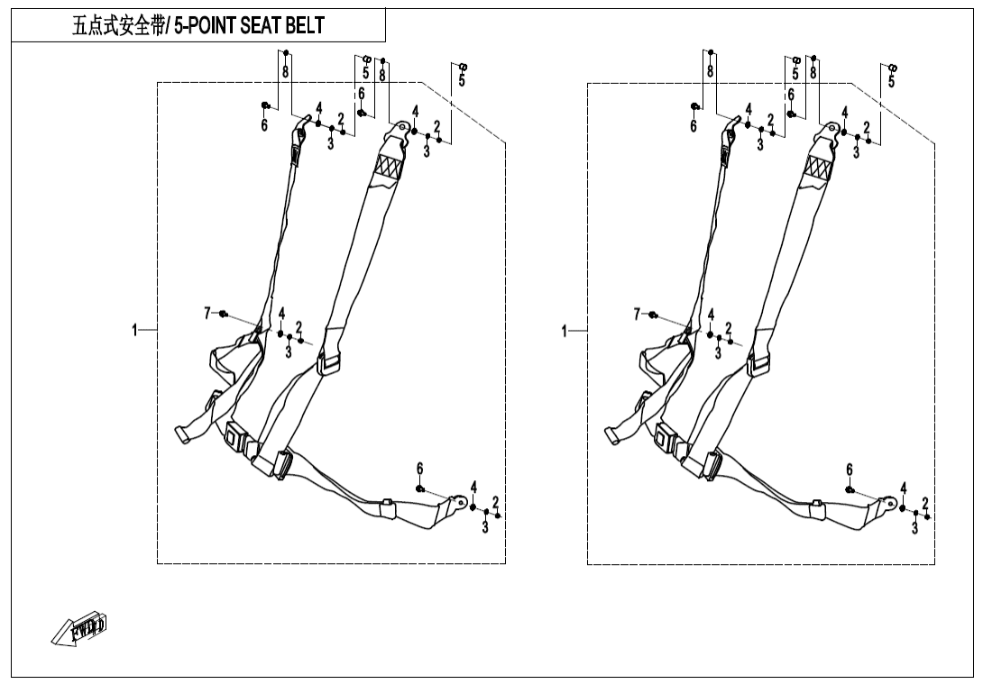 F34-B 5-POINT SEAT BELT