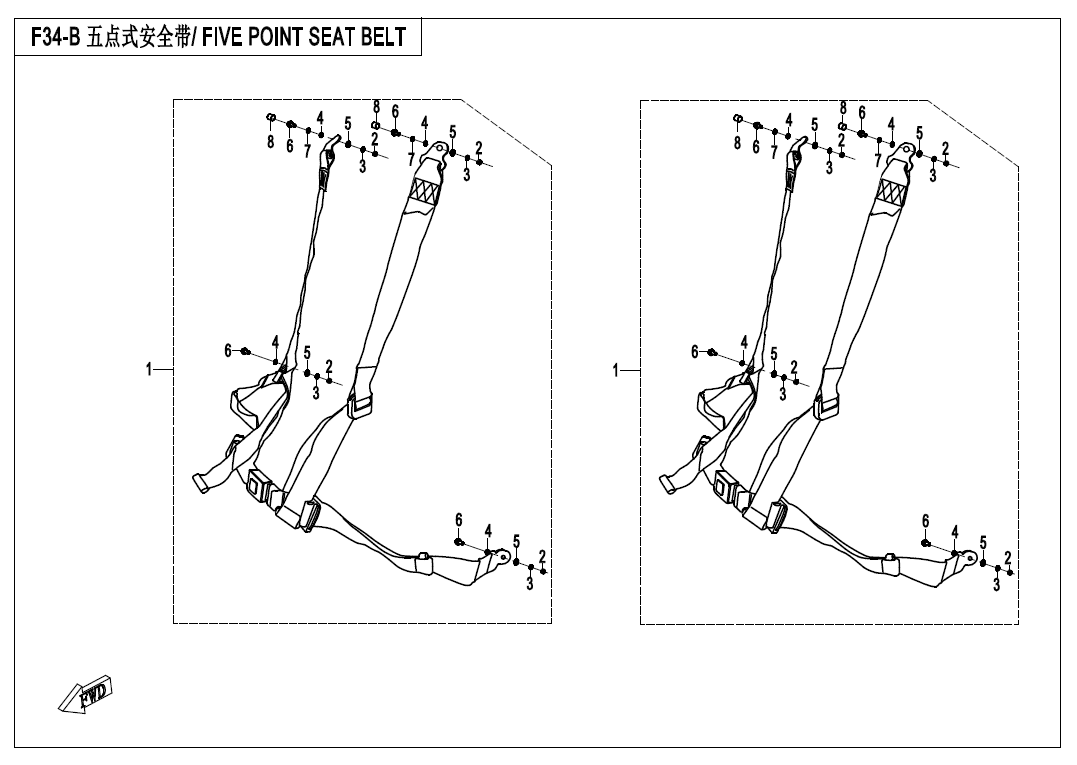 F34-B FIVE POINT SEAT BELTS