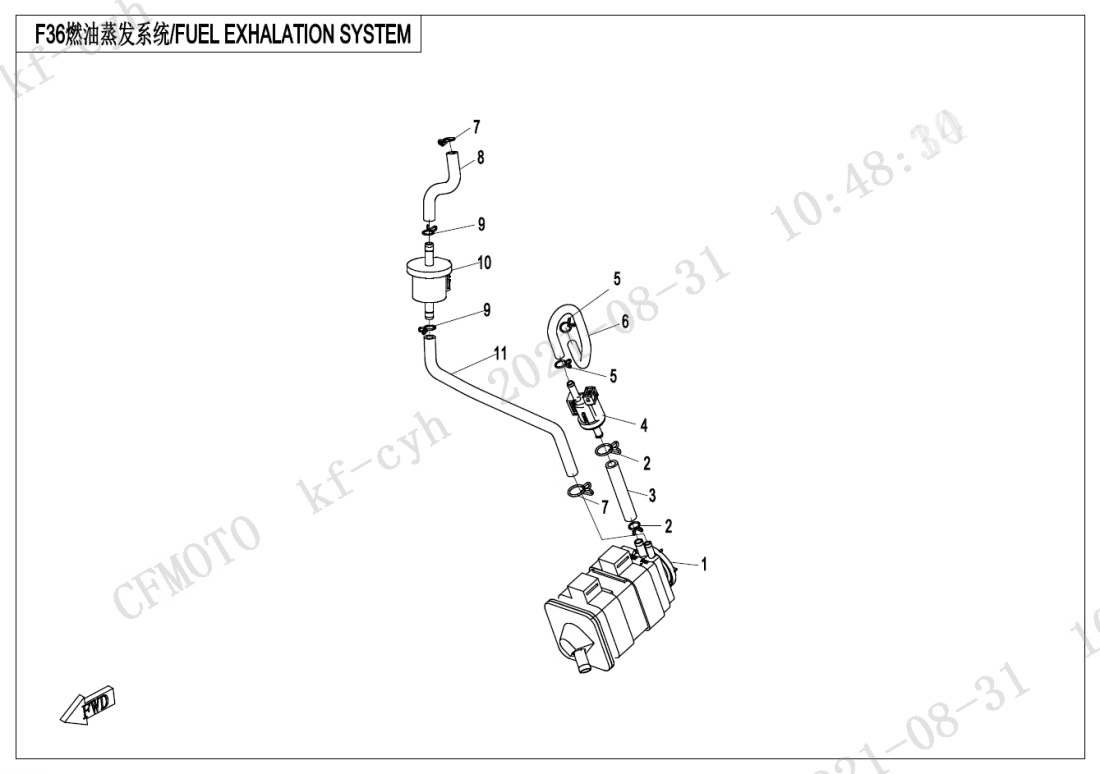 F36 FUEL EVAPORATION SYSTEM