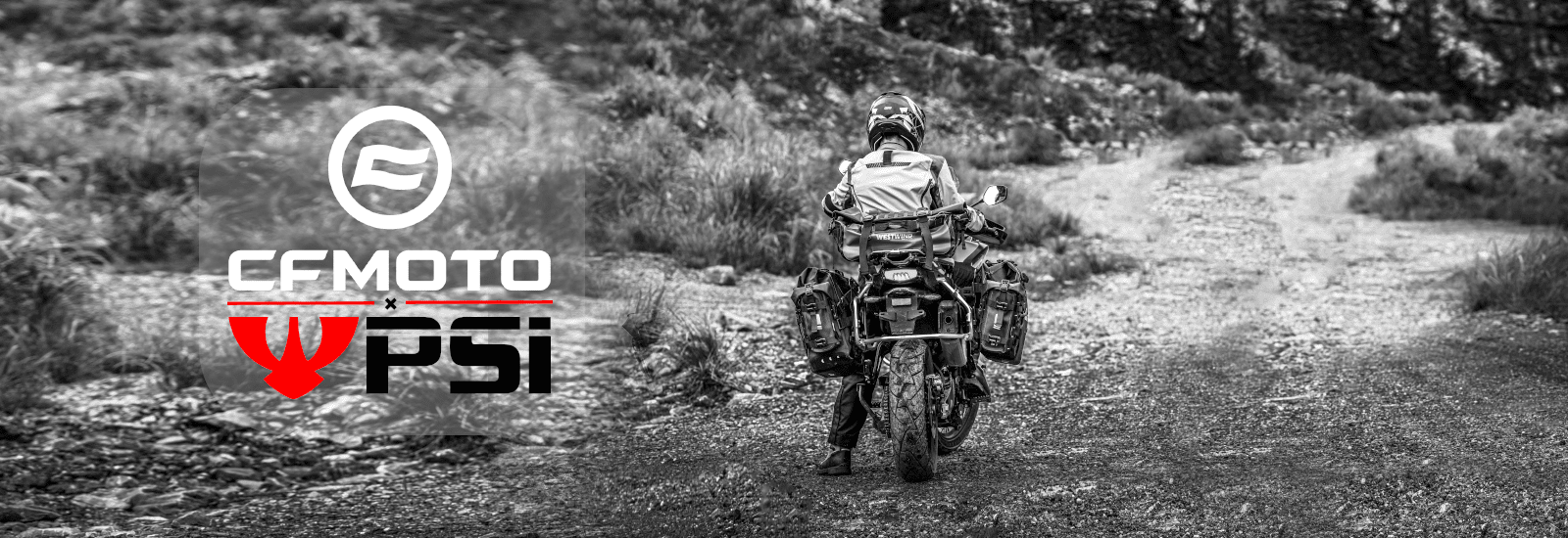 PSi + CFMOTO