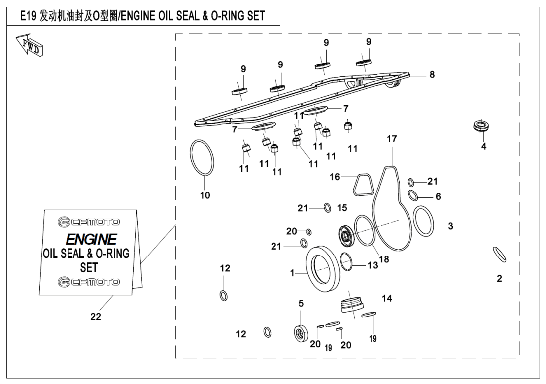 E19 ENGINE OIL SEAL @^ O-RING SET